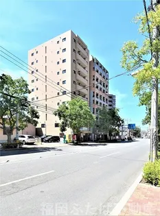 アイコリーネ城南の画像