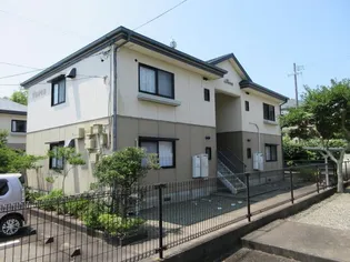 ひかりの画像