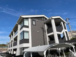 パラシオ レイの画像