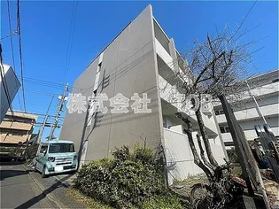 プチ シェルの画像