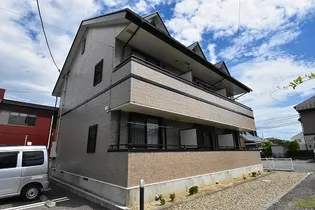 エヴァーグリーンの画像