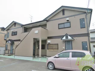 スプルース2の画像