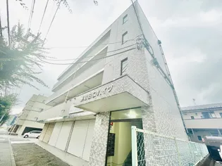 長沼田口ハイツ【4階】の外観