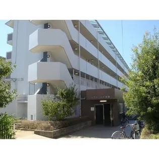 リヴェールド和泉の画像