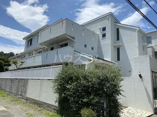 コーラルKの画像