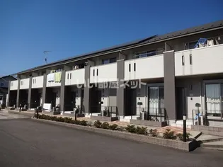 CHERRY BLOSSOMの画像