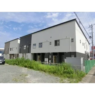 ヴェルニーナの画像