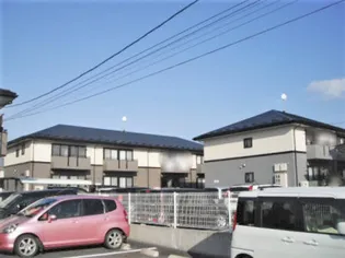 ハイカムールのぞみ Aの画像