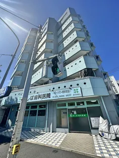 アルベールの画像