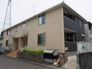 マリーゴールドの画像