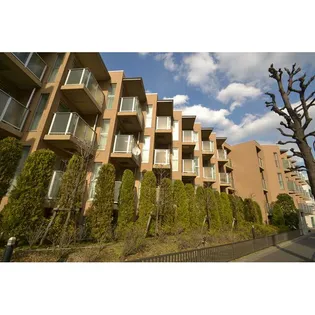 ビイルーム自由が丘の画像