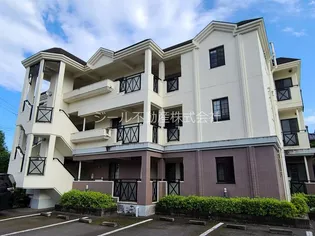 MSビューラーの画像