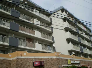 豊中サンハイツ【6階】の外観