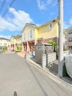 コリーヌ Mの画像