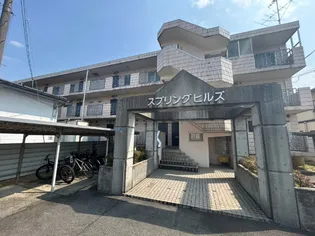 スプリングヒルズの画像