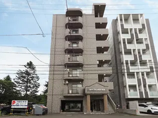 スカイパレスN19の画像