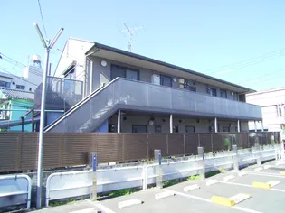 ティースIの画像