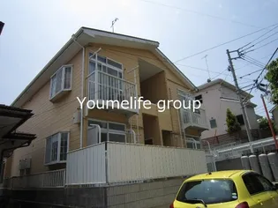 ティーラの画像