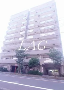 コーポレート相模原三丁目【5階】の外観