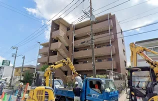 オキザリスの画像