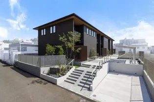 パールグレイスの画像