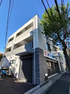 ノーブルベアの画像