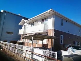 ハイフルの画像