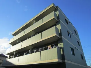 ペルル清華の画像