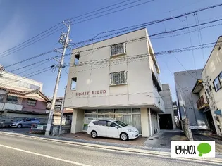 HONEY BILUDの画像