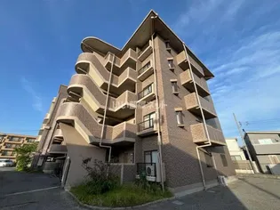 パールグレイスの画像