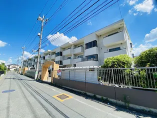 ピネハイブリッジの画像