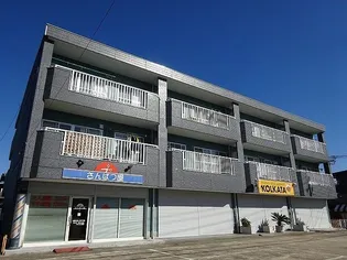 パレスピュアII【2階】の外観