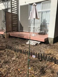 ハイラーク西軽井沢の外観