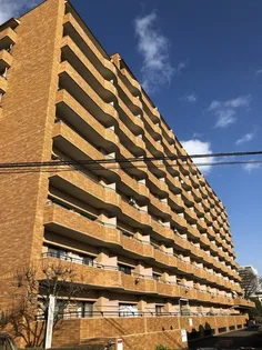 朝日プラザ柏木南棟【2階】の外観