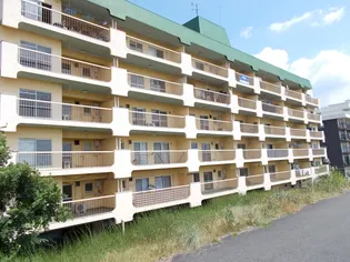 モダンピース【6階】の外観