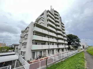 パレ ヴェルジェ アイの画像