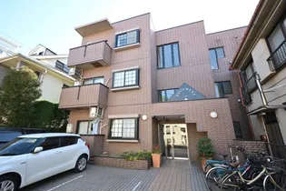 ロジマンエイトの画像