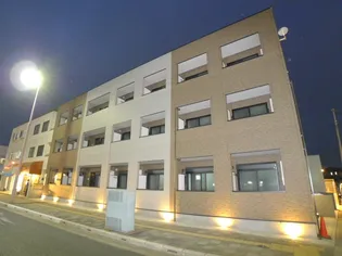 サイプレスの森IIIの画像