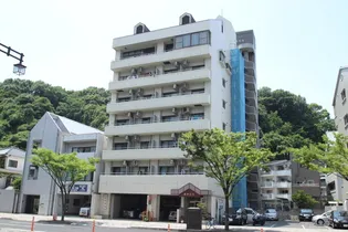 広島県広島市南区段原南1【マンション】の外観