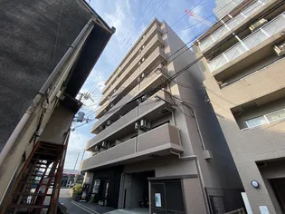 ソフィアコートの画像