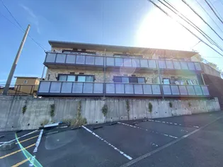 T サン若葉の画像