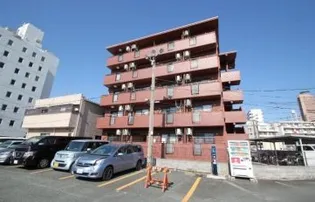 ショコラの画像