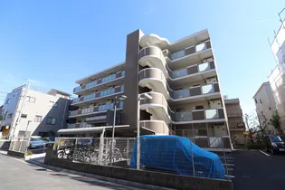 フローレス ハナミズキの画像