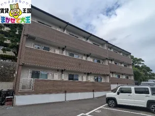 MODERN PALAZZOレイールの画像