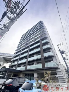 KAUNIS HIRANOの画像