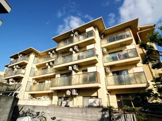 センチュリーショウエイⅤの画像