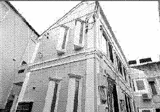 フェリスリオンの画像