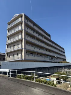 ドミトリー八橋の画像