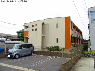レオネクストもちの木の画像