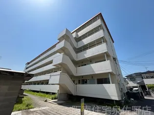 ハイツマルニシの画像